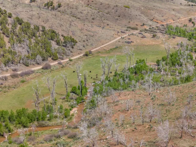 Expansive acreage featuring a winding dirt road, natural water feature, and varied terrain with both verdant and arid sections
