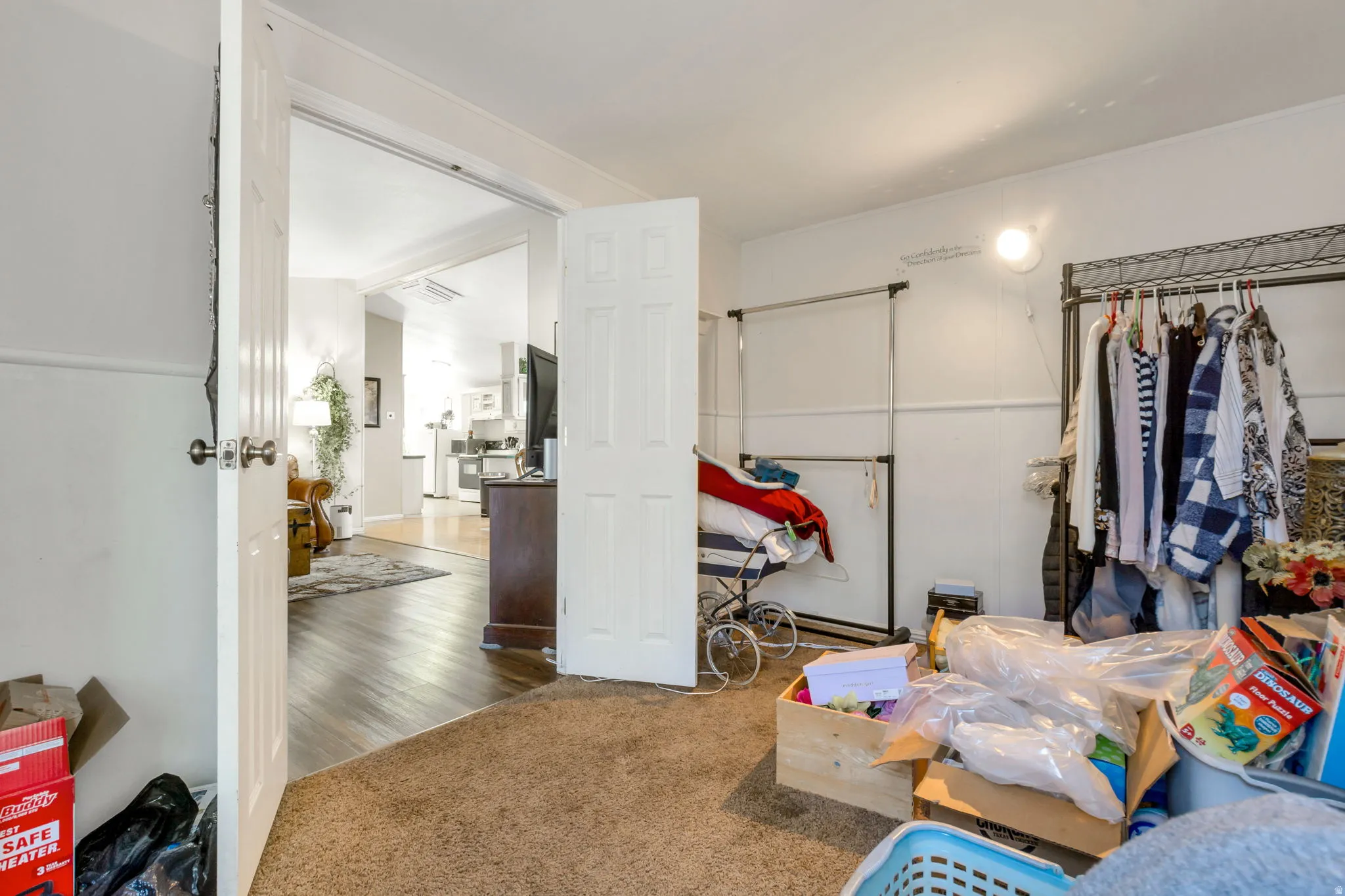 Interior space featuring a carpeted floor and white paneled doors