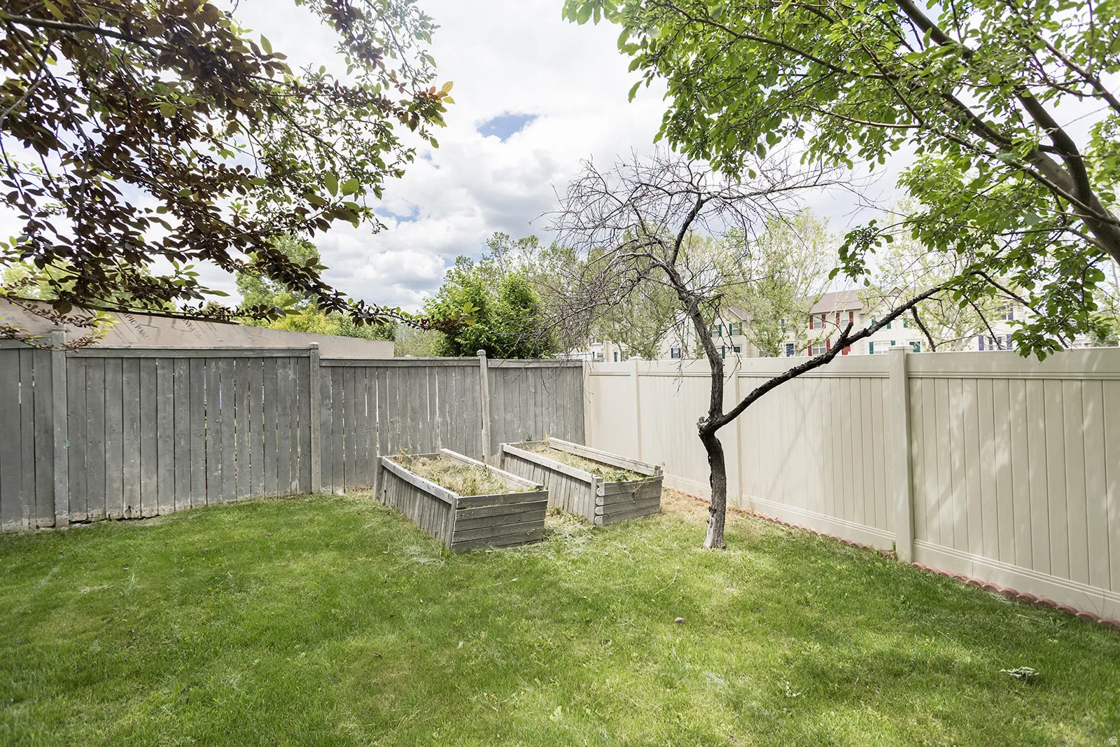 Expansive backyard featuring a manicured lawn, two raised planter beds, a light-toned privacy fence, and mature trees providing natural shade