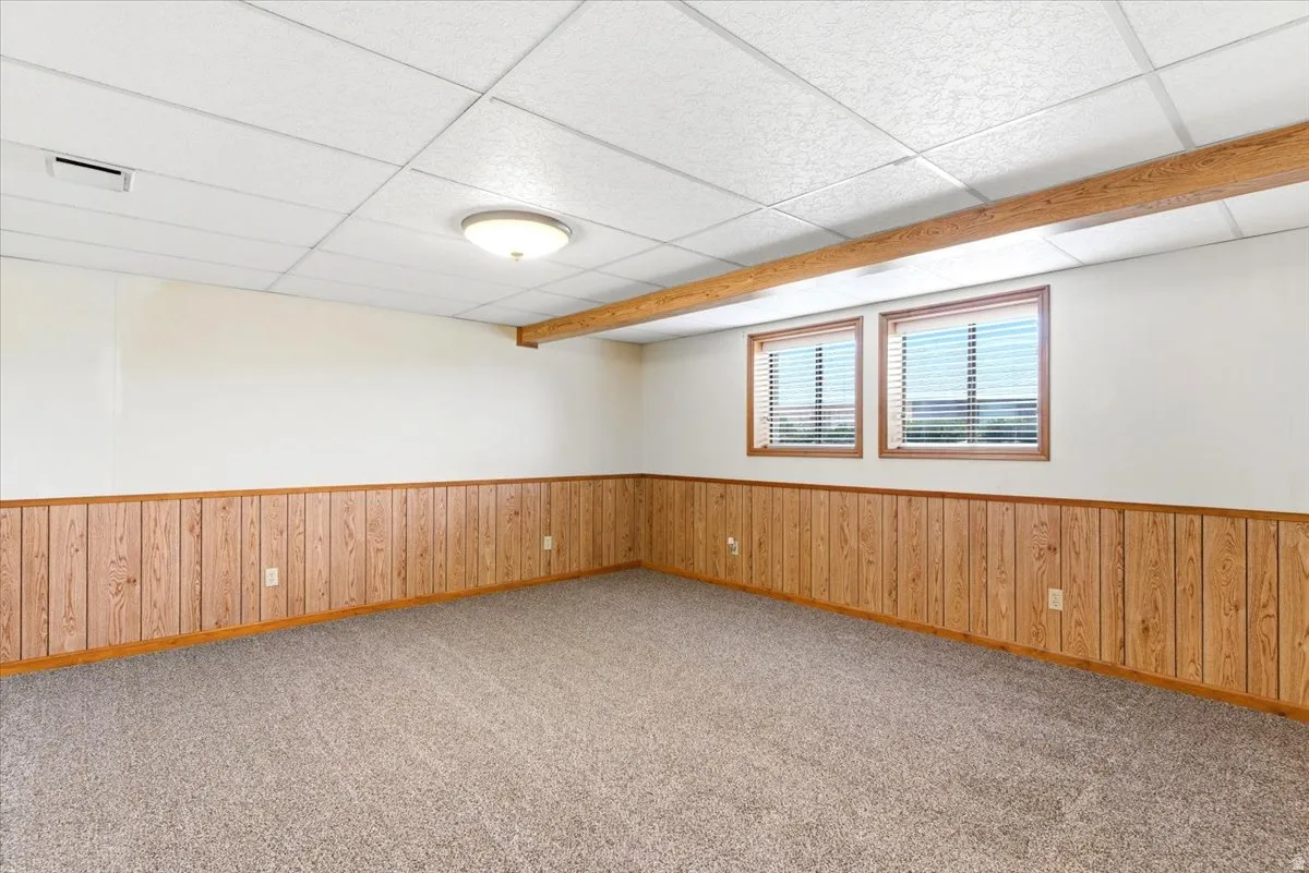 Finished room featuring two windows with blinds, wood-finish paneling, a drop ceiling with a central light fixture, and neutral carpeting
