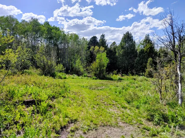 9590 E Ridge Pine Dr, Heber City, Utah 84032
