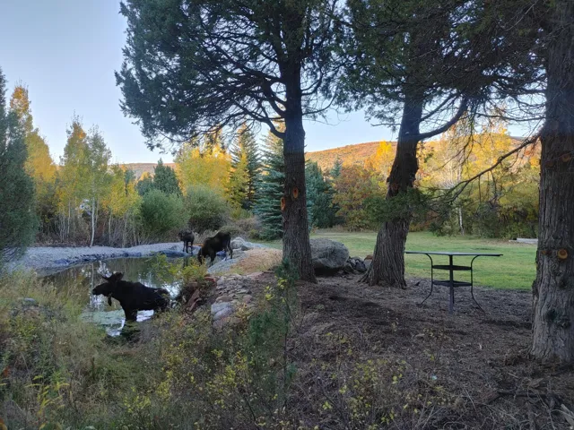 9590 E Ridge Pine Dr, Heber City, Utah 84032