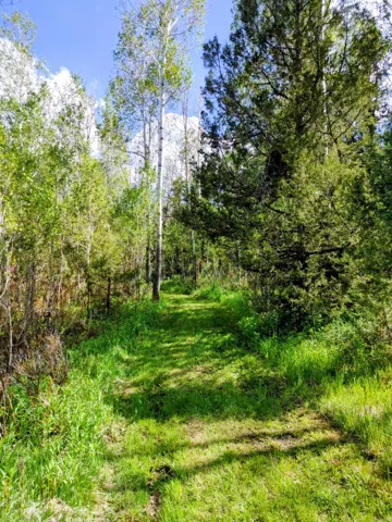 9590 E Ridge Pine Dr, Heber City, Utah 84032