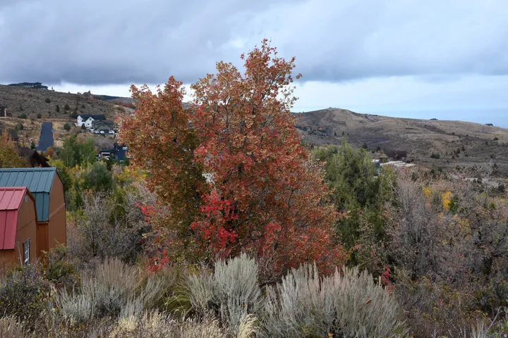 1136 Lakeview Dr, Garden City, Utah 84028