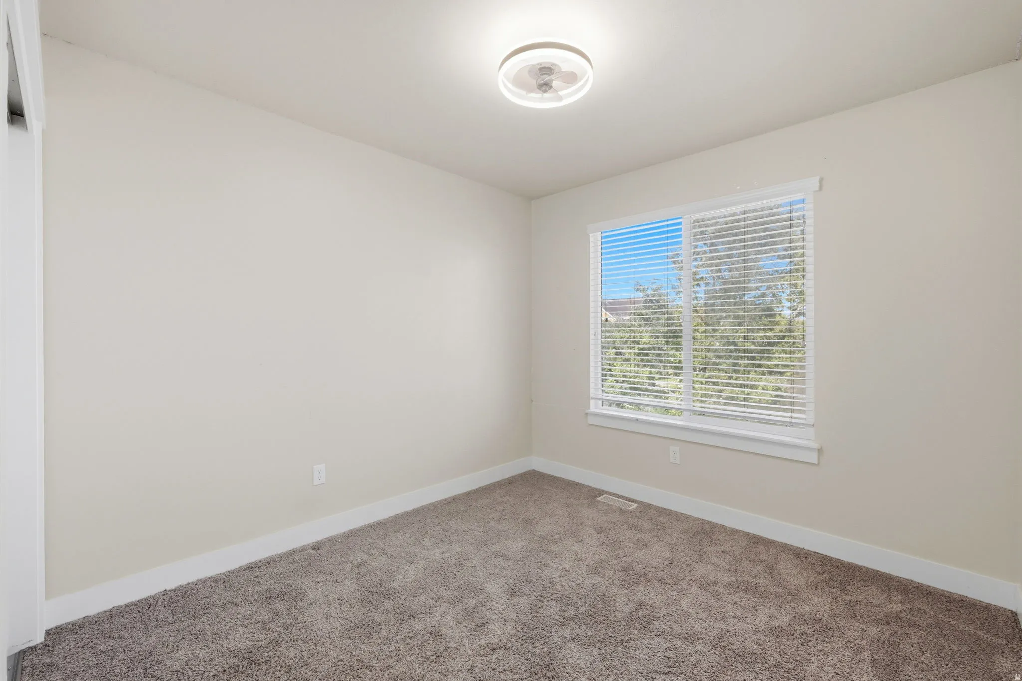 Neutral tone wall paint with white trim, complemented by plush carpeting