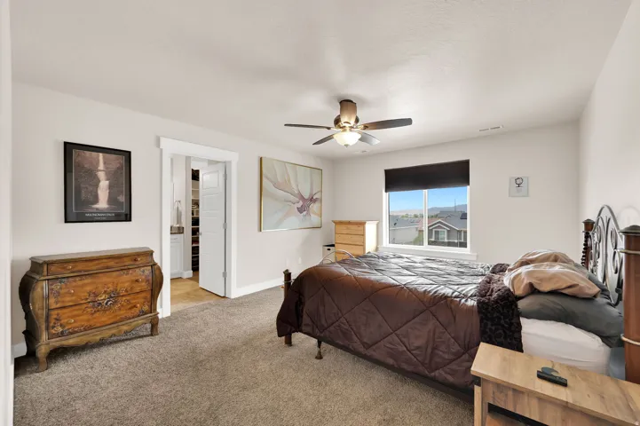Carpeted bedroom featuring a ceiling fan with integrated lighting, a window with a roller shade, and a doorway opening to an organized closet with shelving