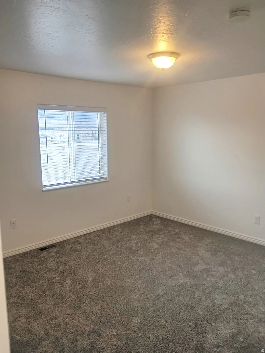 Neutral wall paint featuring a window with horizontal blinds, a ceiling-mounted light fixture, and plush carpeting