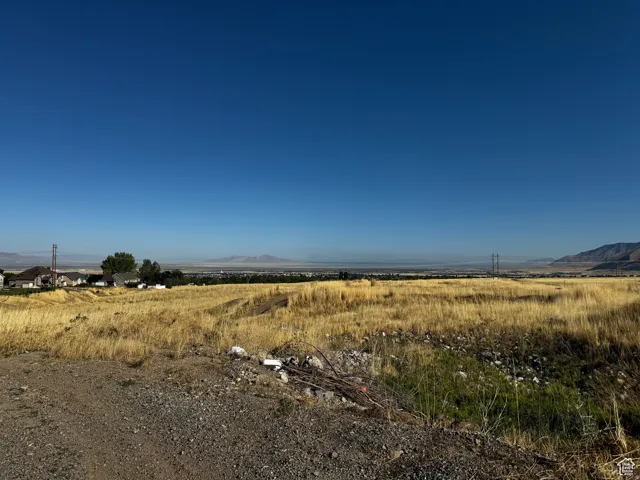 Expansive open land featuring natural golden grasses and a clear blue sky
