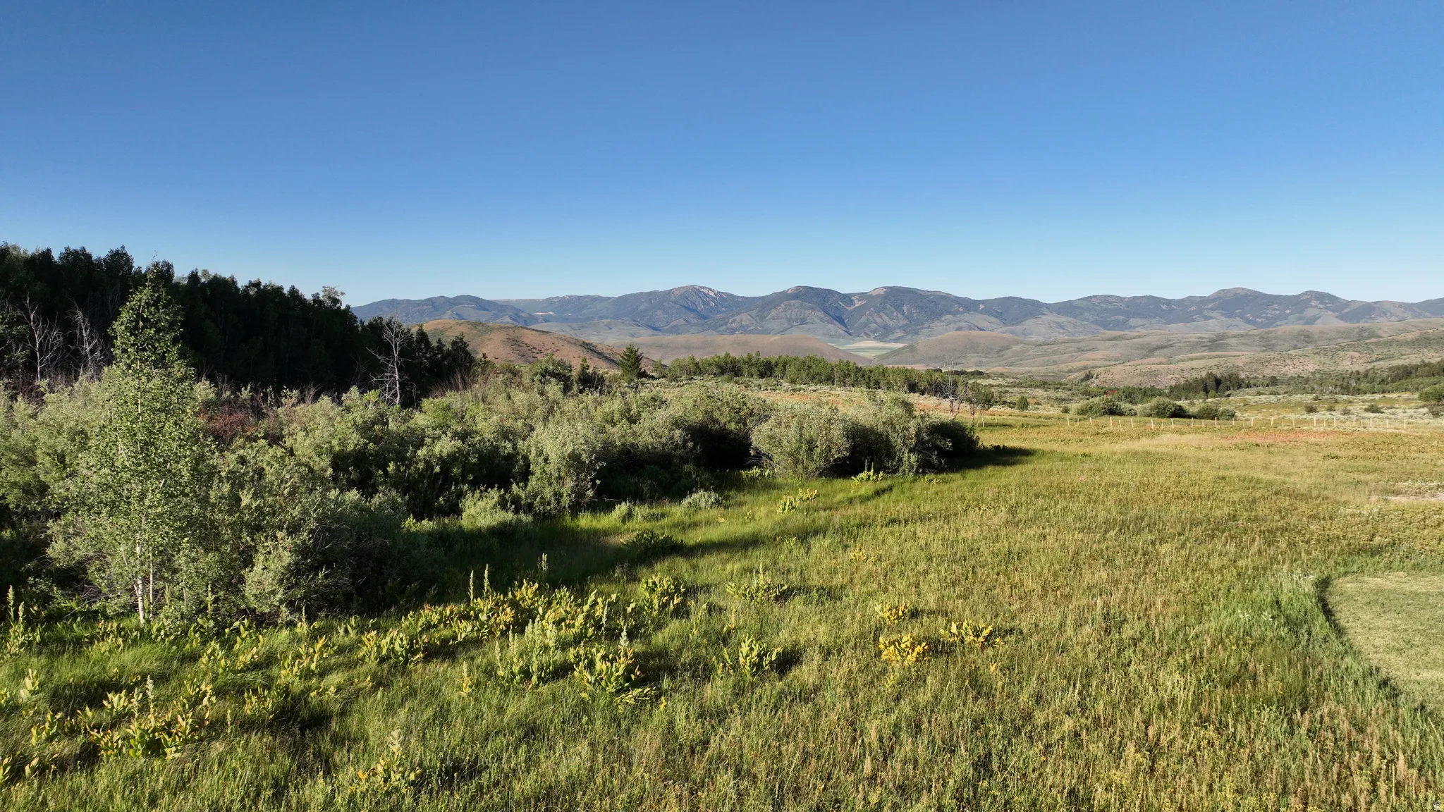 Expansive natural landscape featuring varied topography, mature trees, and a clear sky backdrop