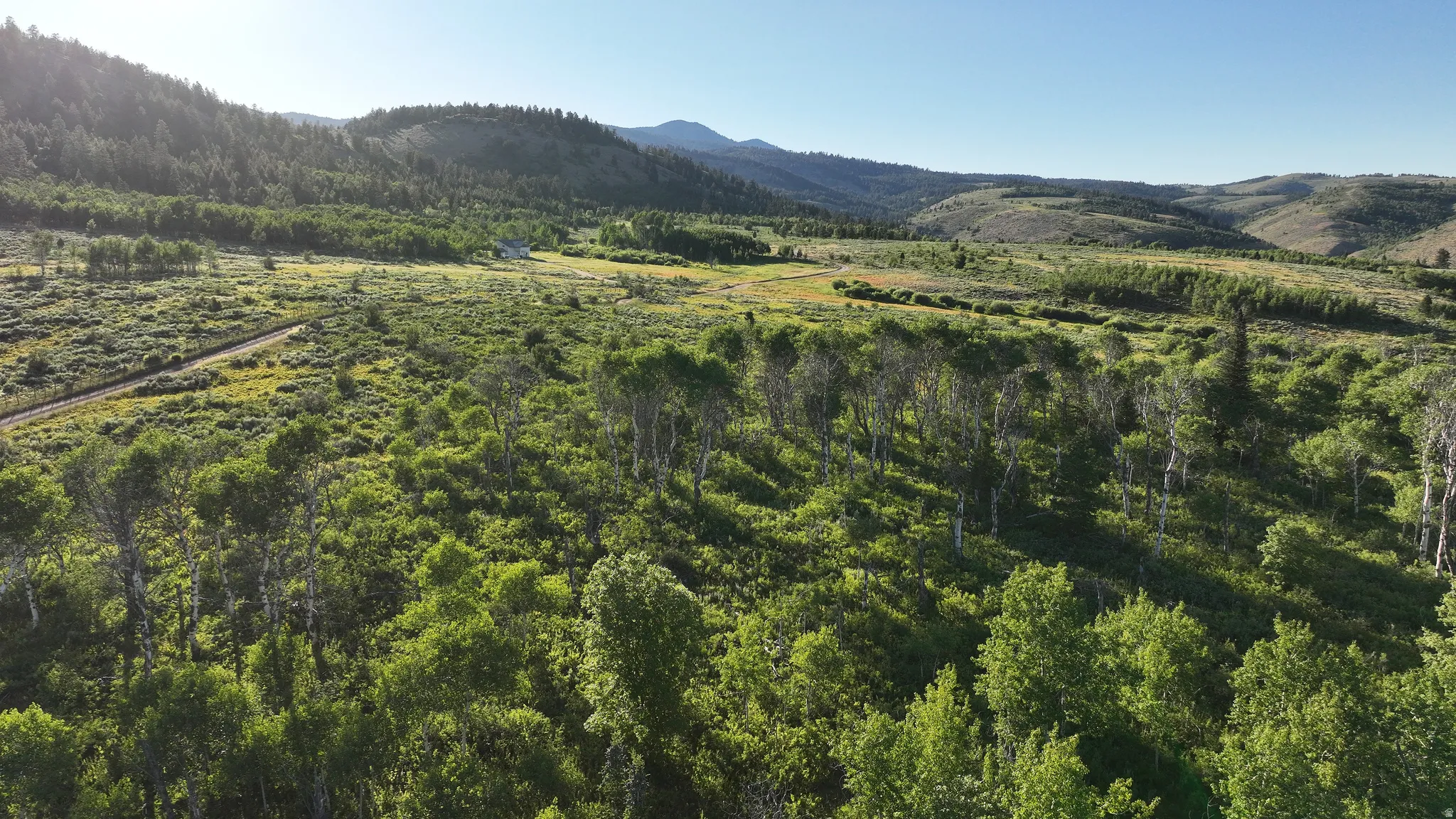 Expansive natural landscape featuring lush green foliage and mature trees, with rolling hills in the background