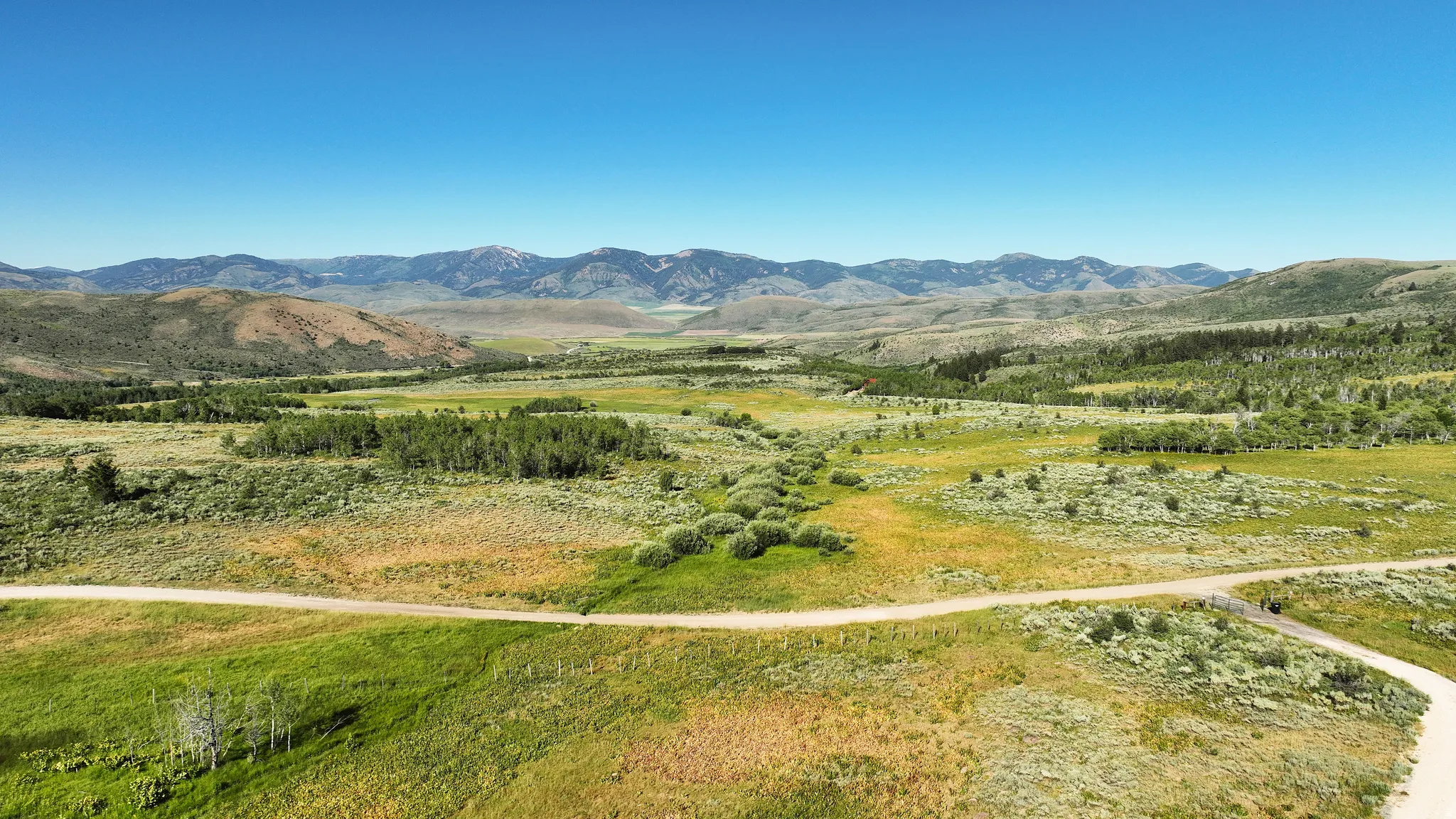 Expansive land parcel featuring a gravel road, diverse natural vegetation, and distant mountain ranges