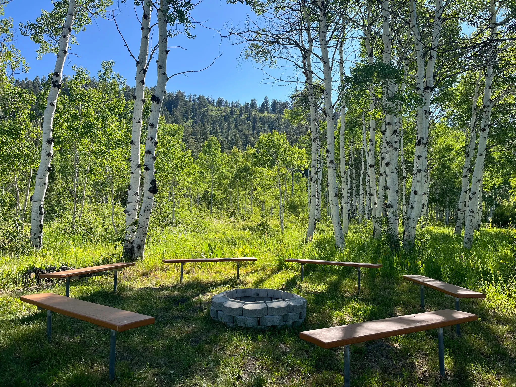 Outdoor gathering space featuring a stone-ringed fire pit, multiple wood-top benches, and a backdrop of mature aspen trees