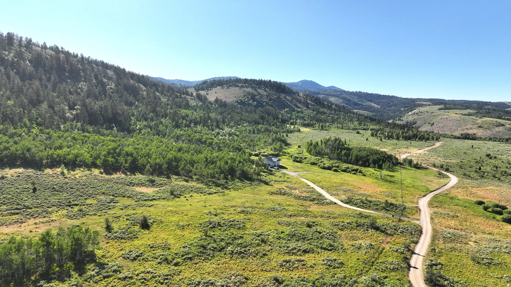 Expansive rural landscape featuring a winding dirt road, scattered trees, and distant hills