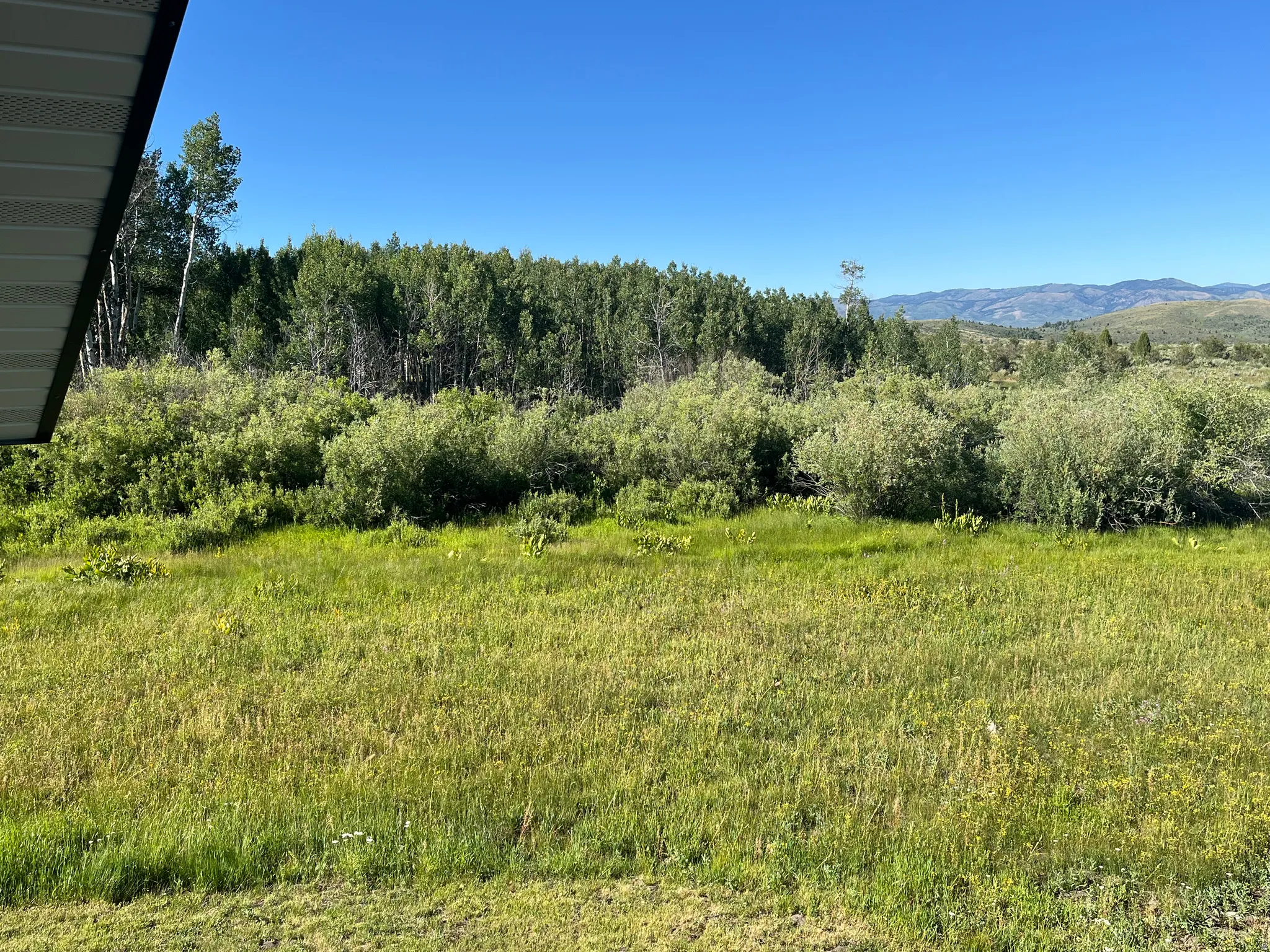 Expansive natural landscape featuring lush green foliage, mature trees, and distant rolling hills