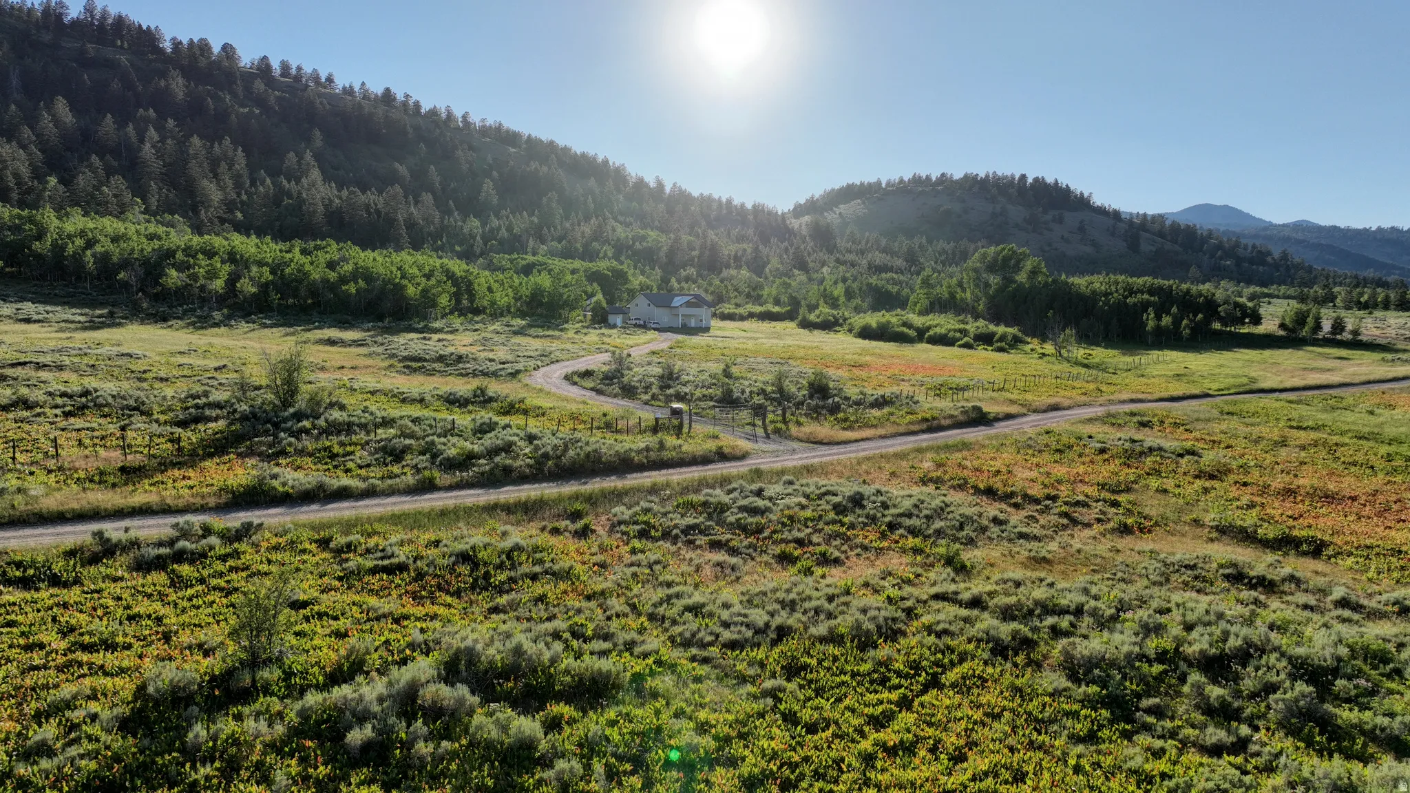 Extensive natural landscape featuring a long driveway, a distant residence, and surrounding forested hills