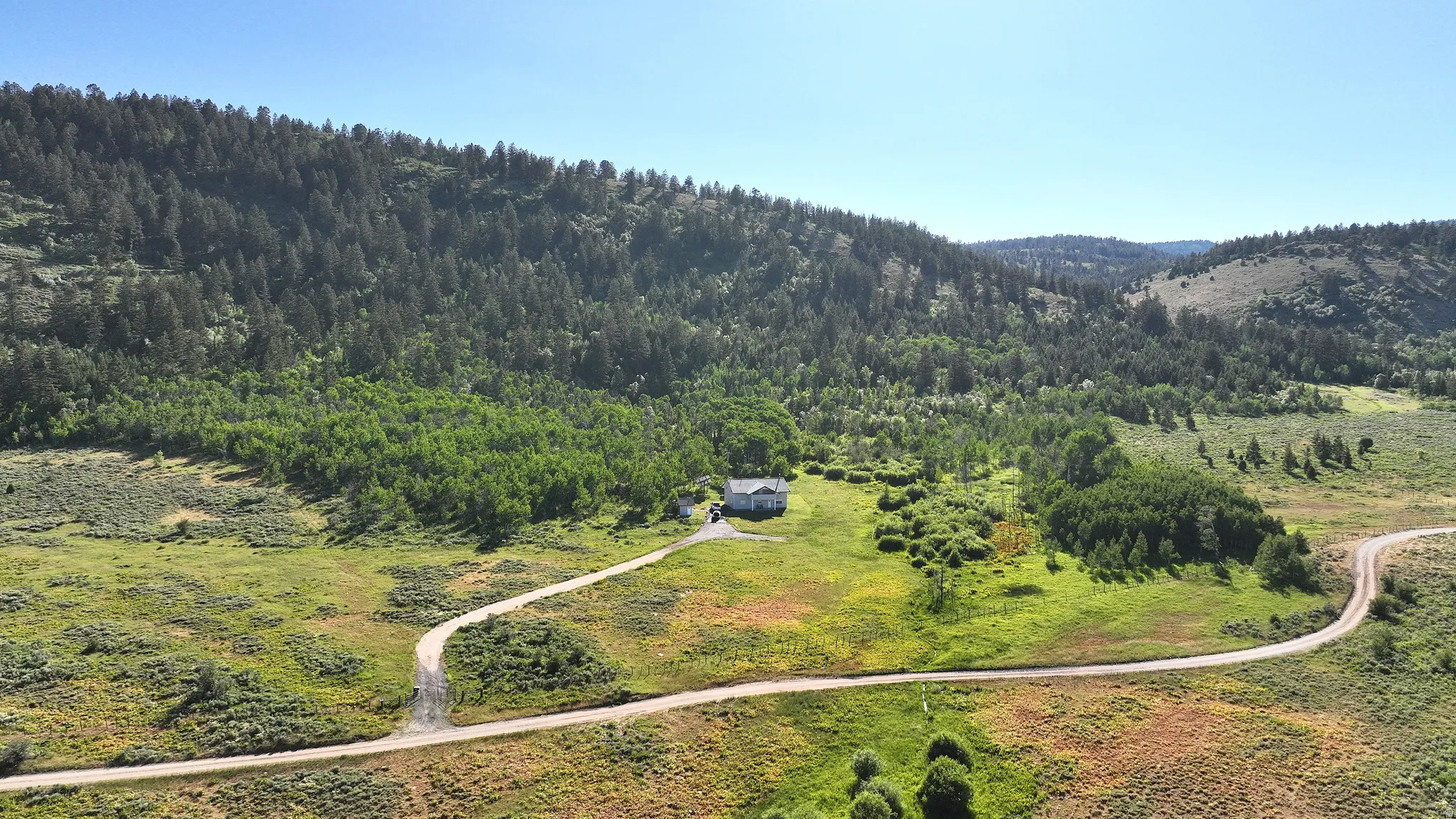 Expansive property featuring a winding unpaved road, verdant hillsides, and mature trees