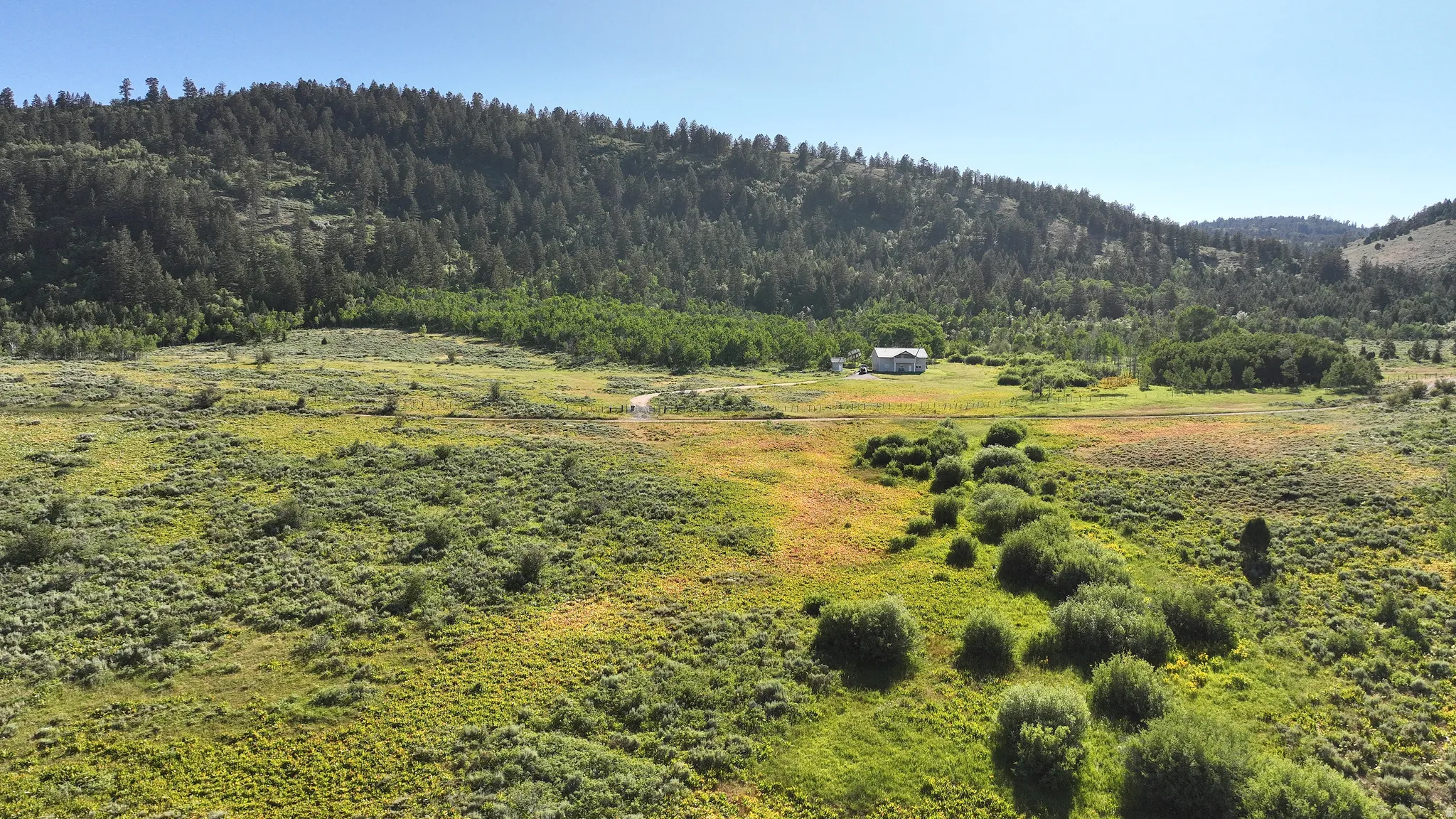 Expansive property featuring a single-story residence situated within a large, open field