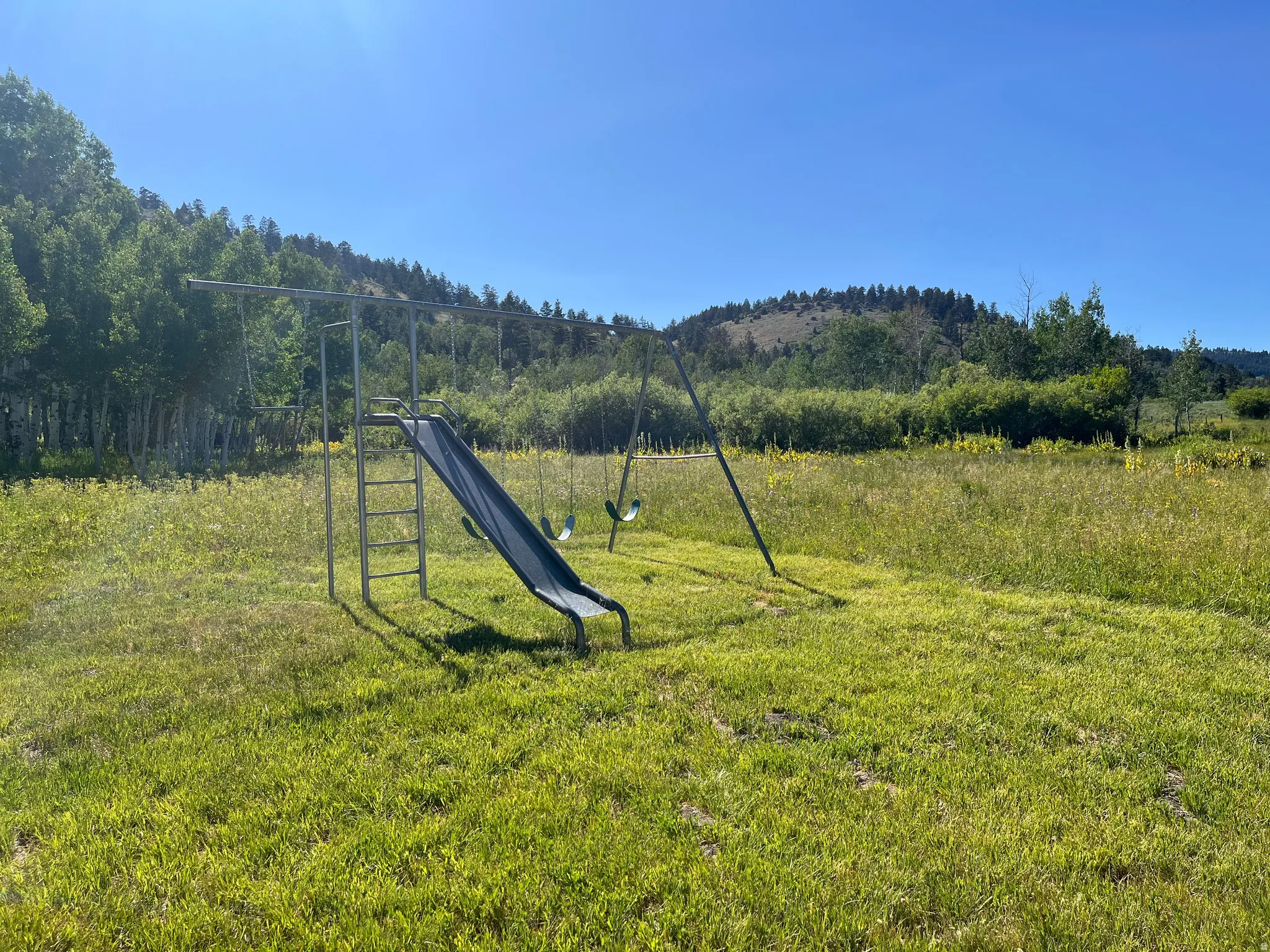 Expansive grassy area featuring a swing set with a slide and two swings