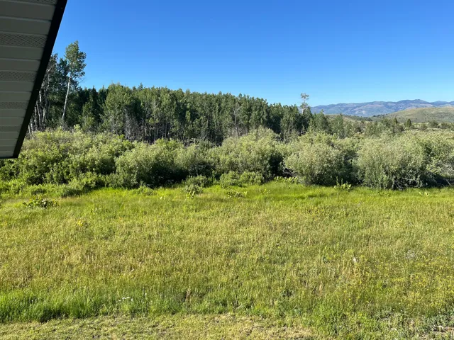 Expansive natural landscape featuring lush green foliage, mature trees, and distant rolling hills