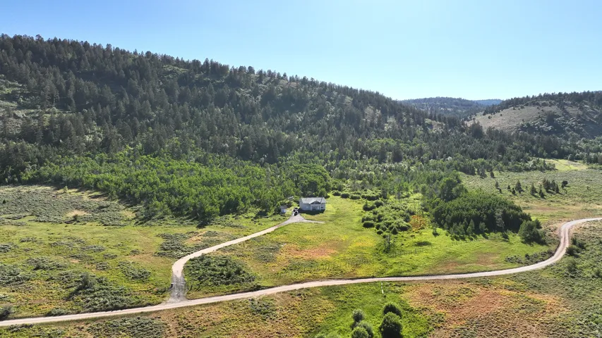 Expansive property featuring a winding unpaved road, verdant hillsides, and mature trees