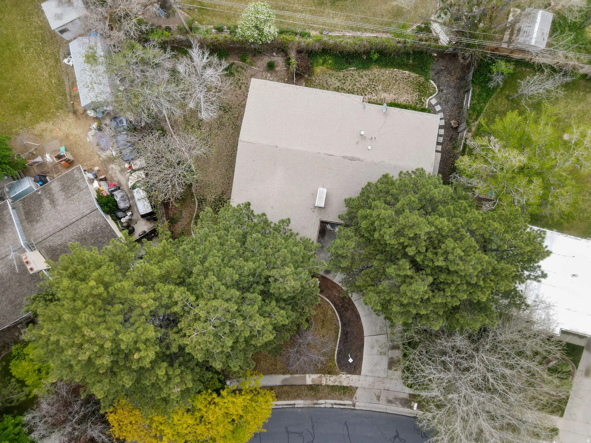 Overhead property perspective featuring a neutral-toned roof, mature trees, and a curved concrete driveway