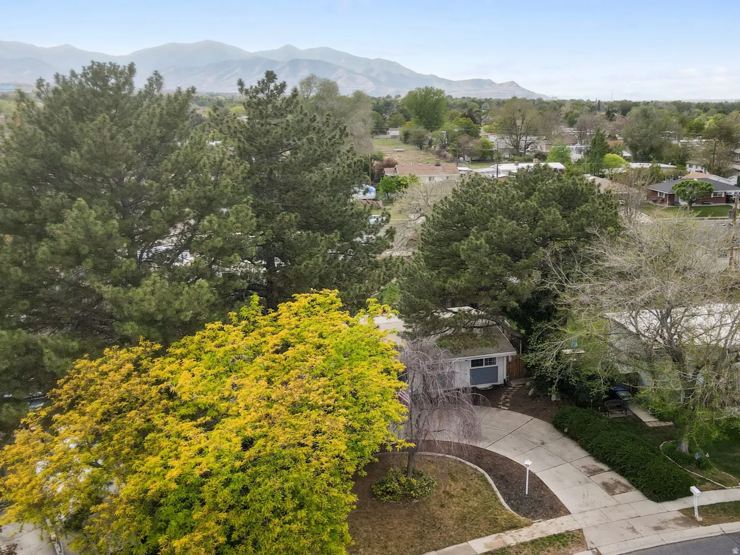 Aerial perspective showcasing a residential property with a curved driveway, mature trees, and a mountain range backdrop
