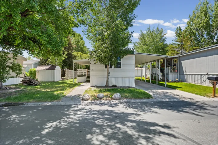 White siding exterior with a covered carport, paved driveway, and mature landscaping
