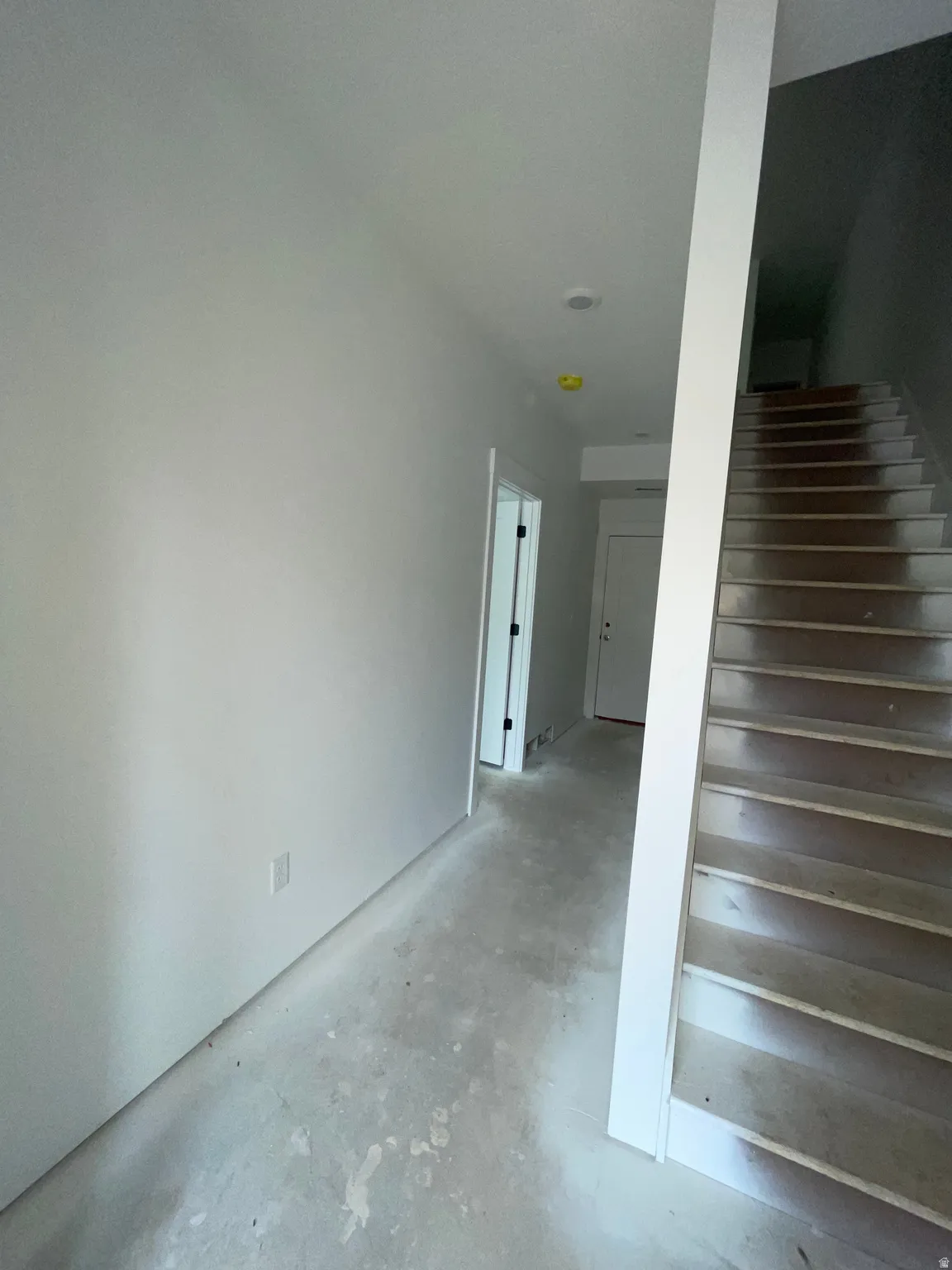 Downstairs Hallway