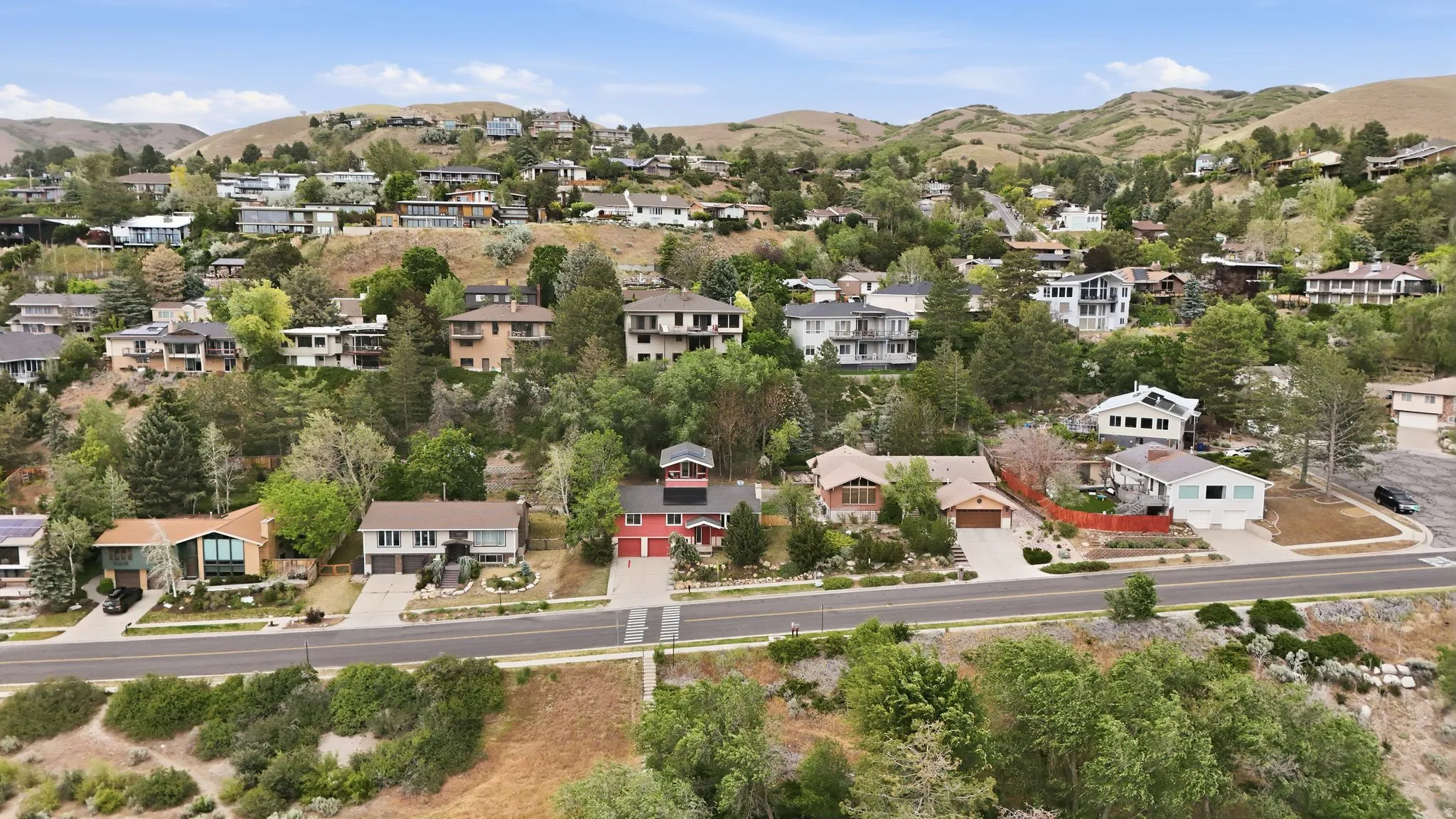 Residential neighborhood featuring diverse architectural styles and mature trees