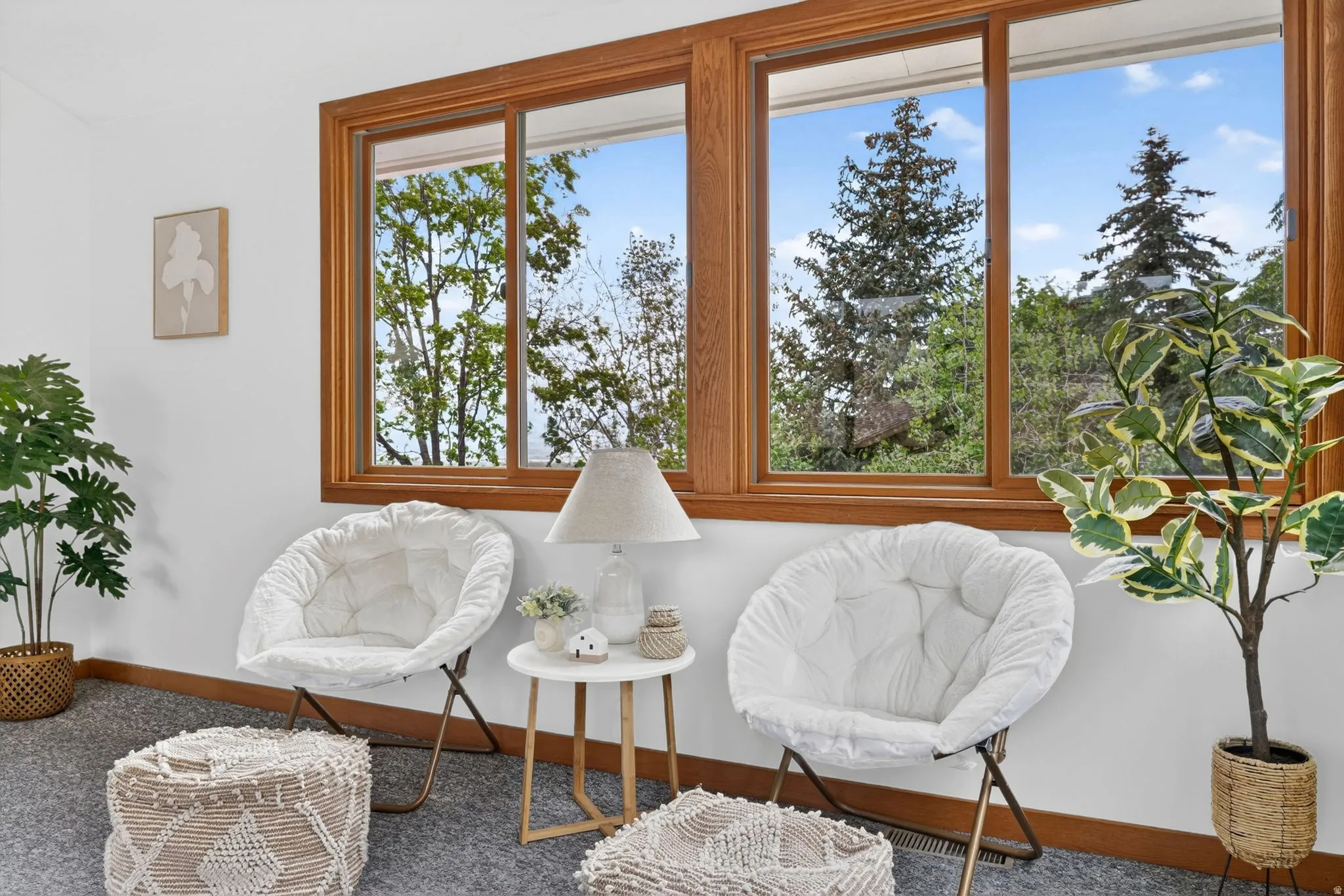 Wall-to-wall carpeting with light-colored walls and natural wood trim windows