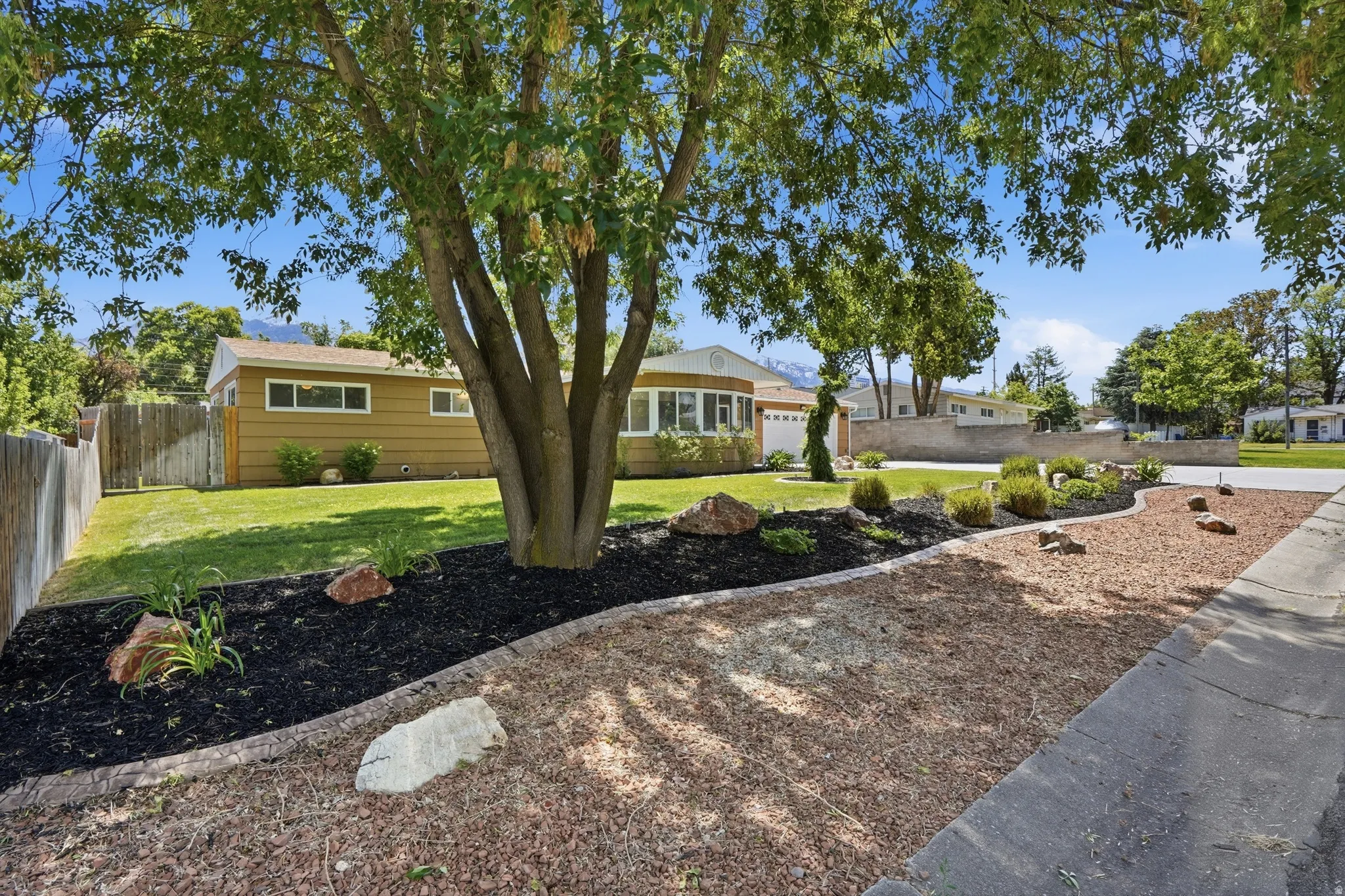 Mature tree featuring a landscaped bed with dark mulch and decorative rocks