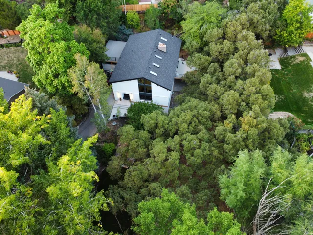 Modern architectural residence featuring a dark shingle roof, chimney, and multiple skylights