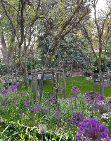 Terraced backyard featuring a wooden pergola and established trees