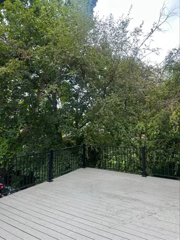 Spacious upper west deck featuring composite decking and black metal railings, surrounded by lush green trees