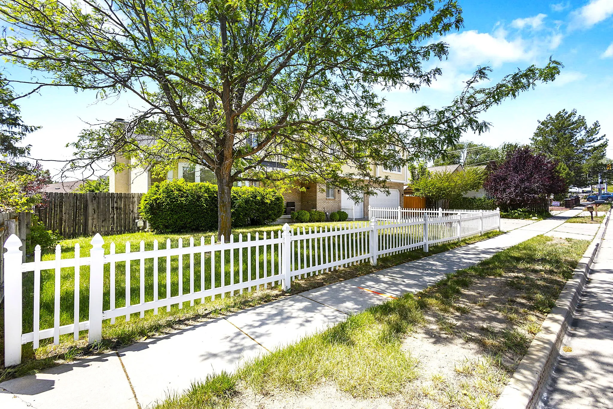 Front yard featuring a white picket fence, mature tree, and a sidewalk