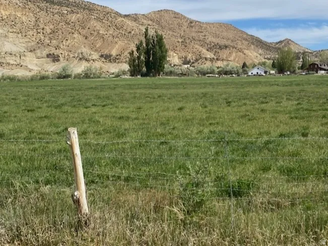 Expansive green field with natural fencing, framed by distant hills and mature trees