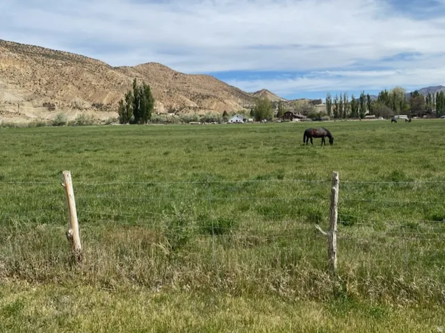 Expansive green field with natural fencing, framed by distant hills and mature trees