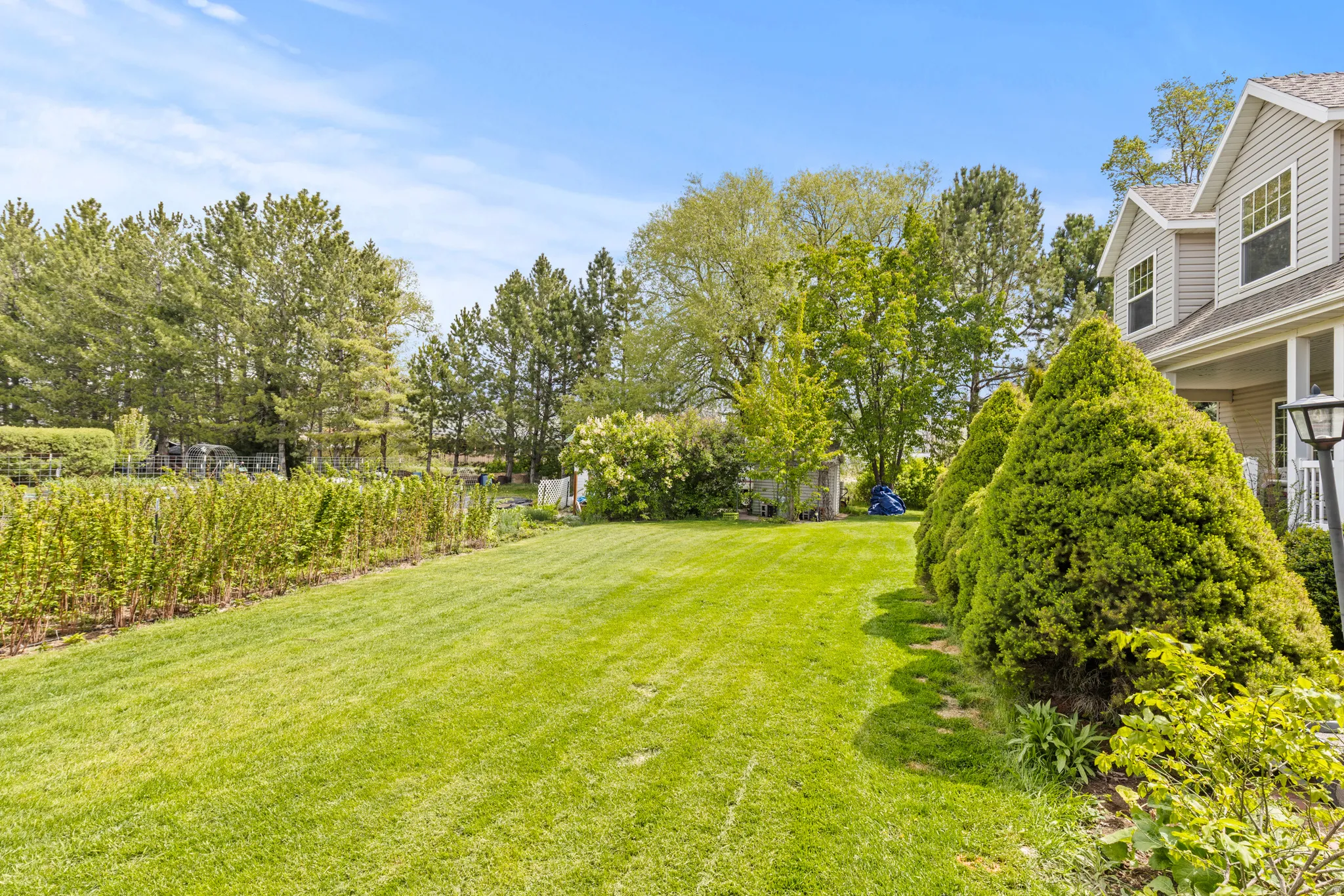 Expansive lawn area with manicured plantings and mature trees