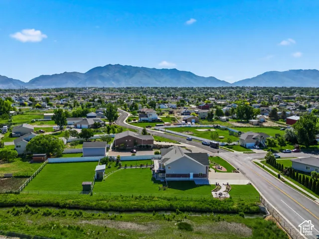 Expansive lot with a large grassy area, paved driveway, and established landscaping
