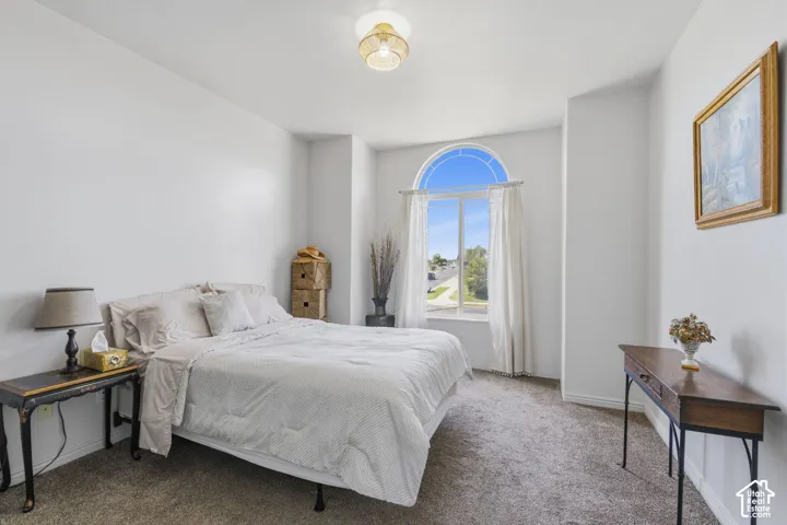 Arch-top window with white trim, light-colored walls, carpeted flooring, and a ceiling-mounted light fixture