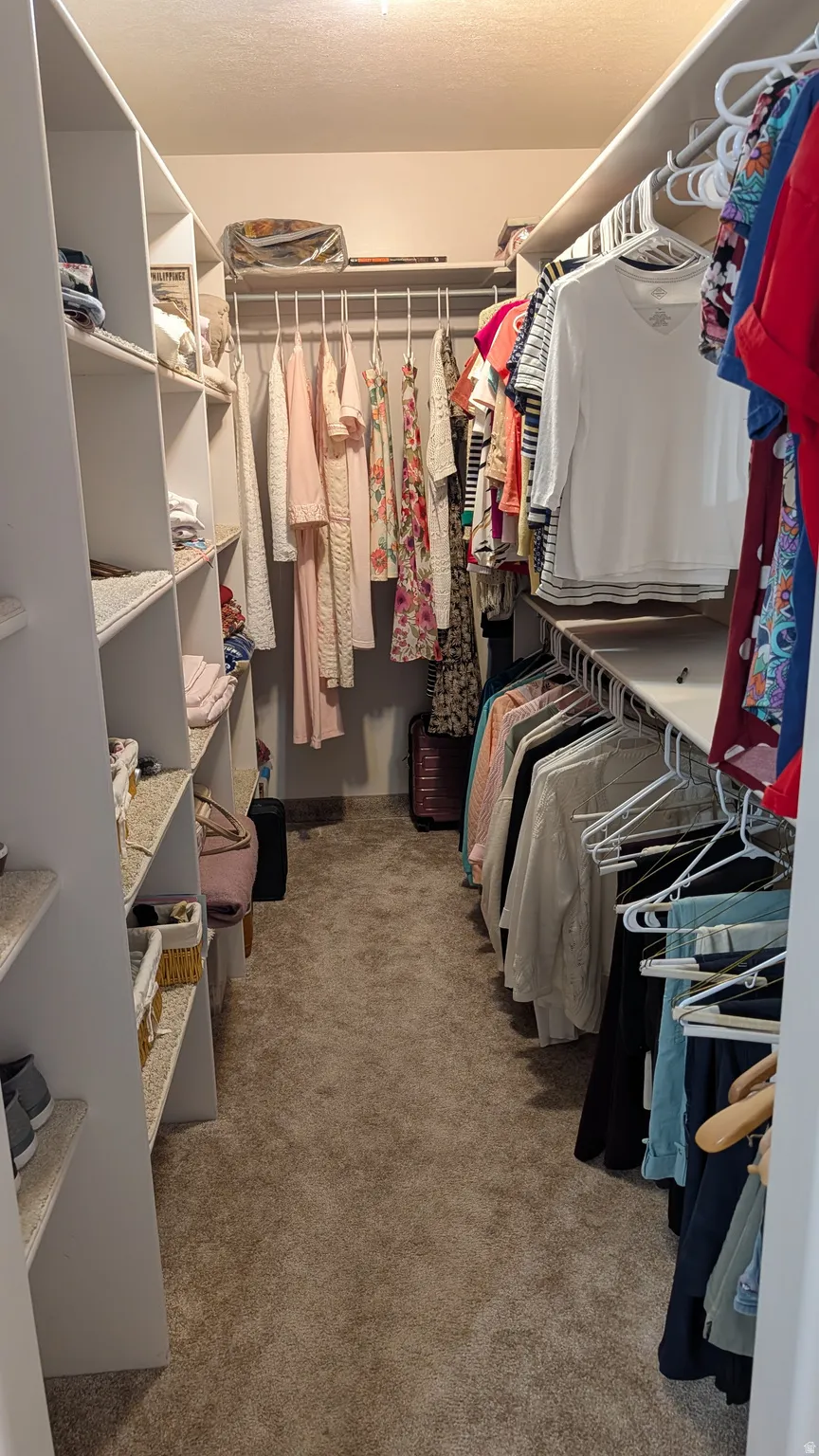 Walk-in closet featuring built-in shelving, multiple hanging rods, and neutral carpet flooring