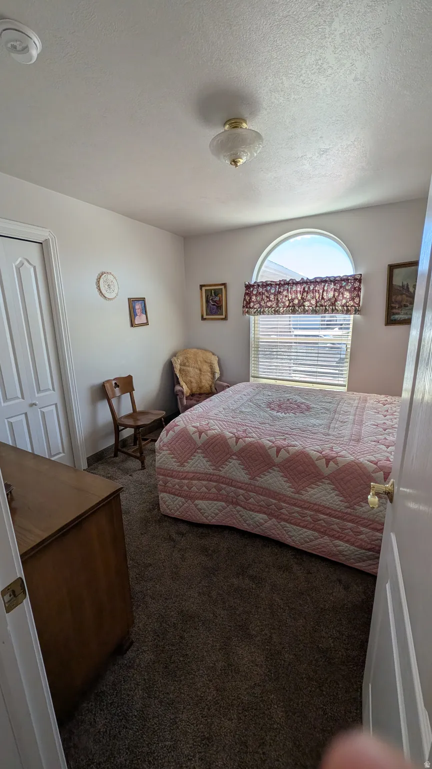 Carpeted room featuring a rounded arch window with blinds, a ceiling-mounted light fixture, and a white paneled door