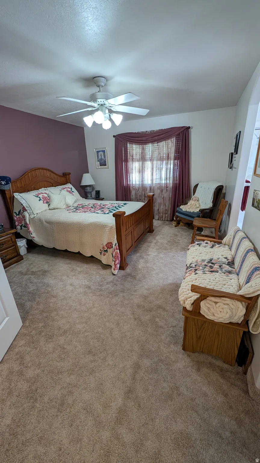 Carpeted bedroom featuring a ceiling fan with integrated lighting, a contrasting accent wall, and a window with blinds