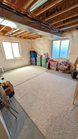 Spacious unfinished basement offering two windows, exposed ceiling joists, ductwork, and a light-colored carpeted area