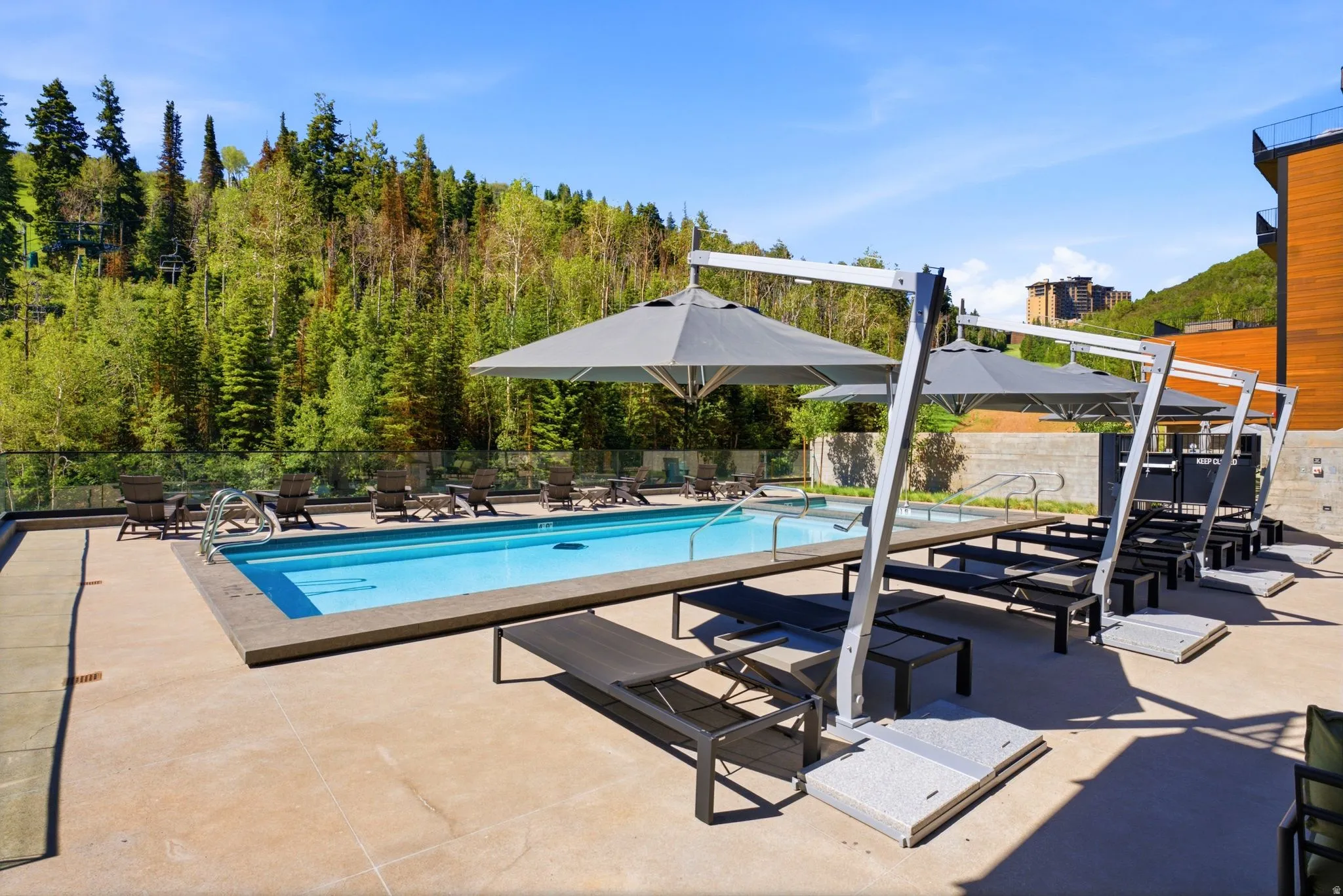Rectangular outdoor pool with concrete coping and a surrounding paver patio