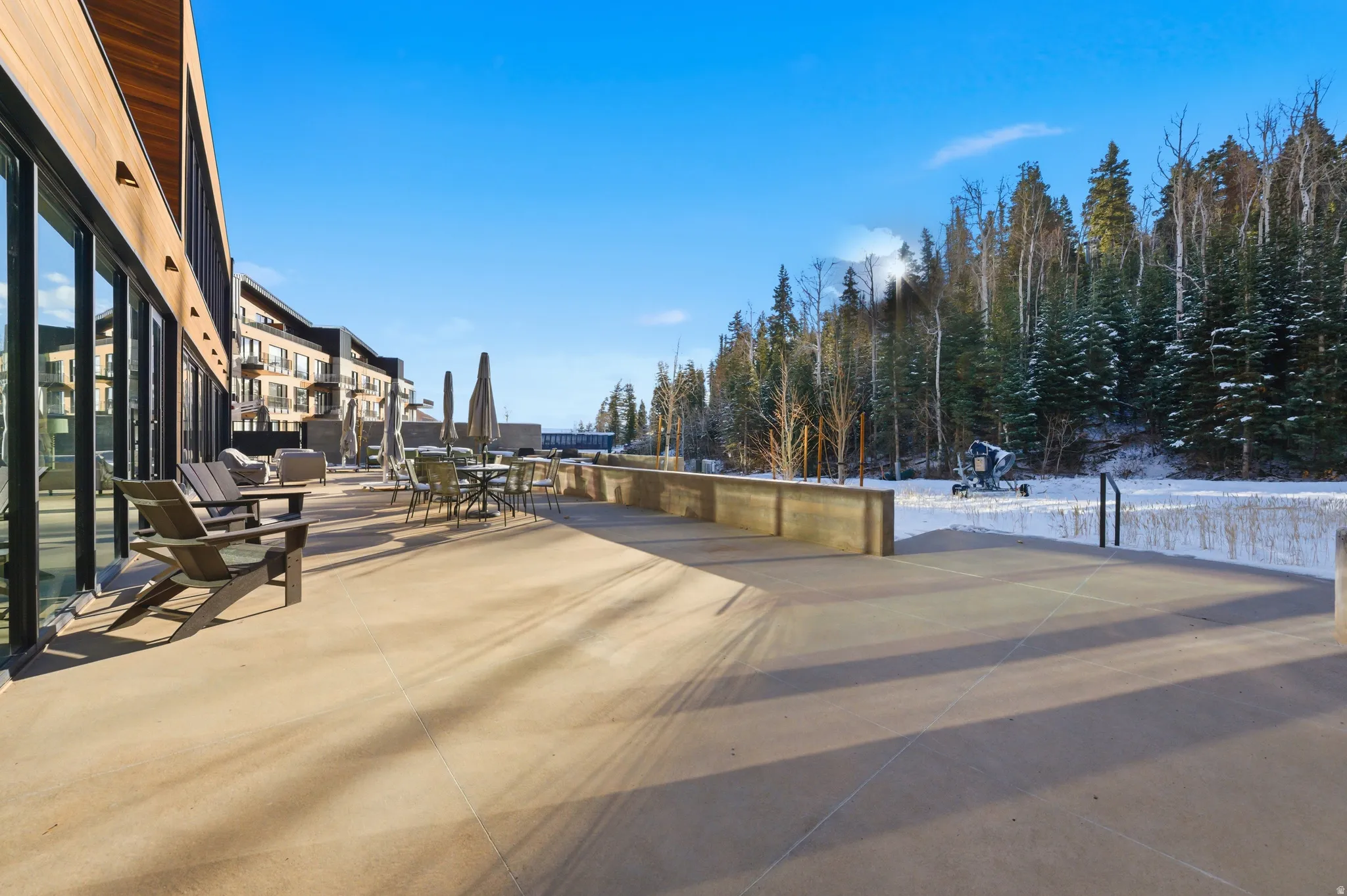 Expansive outdoor patio with concrete surfacing and contemporary architecture