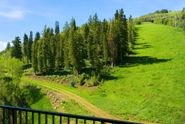 Expansive mountain landscape featuring a ski slope, dense evergreen forest, and a winding dirt path