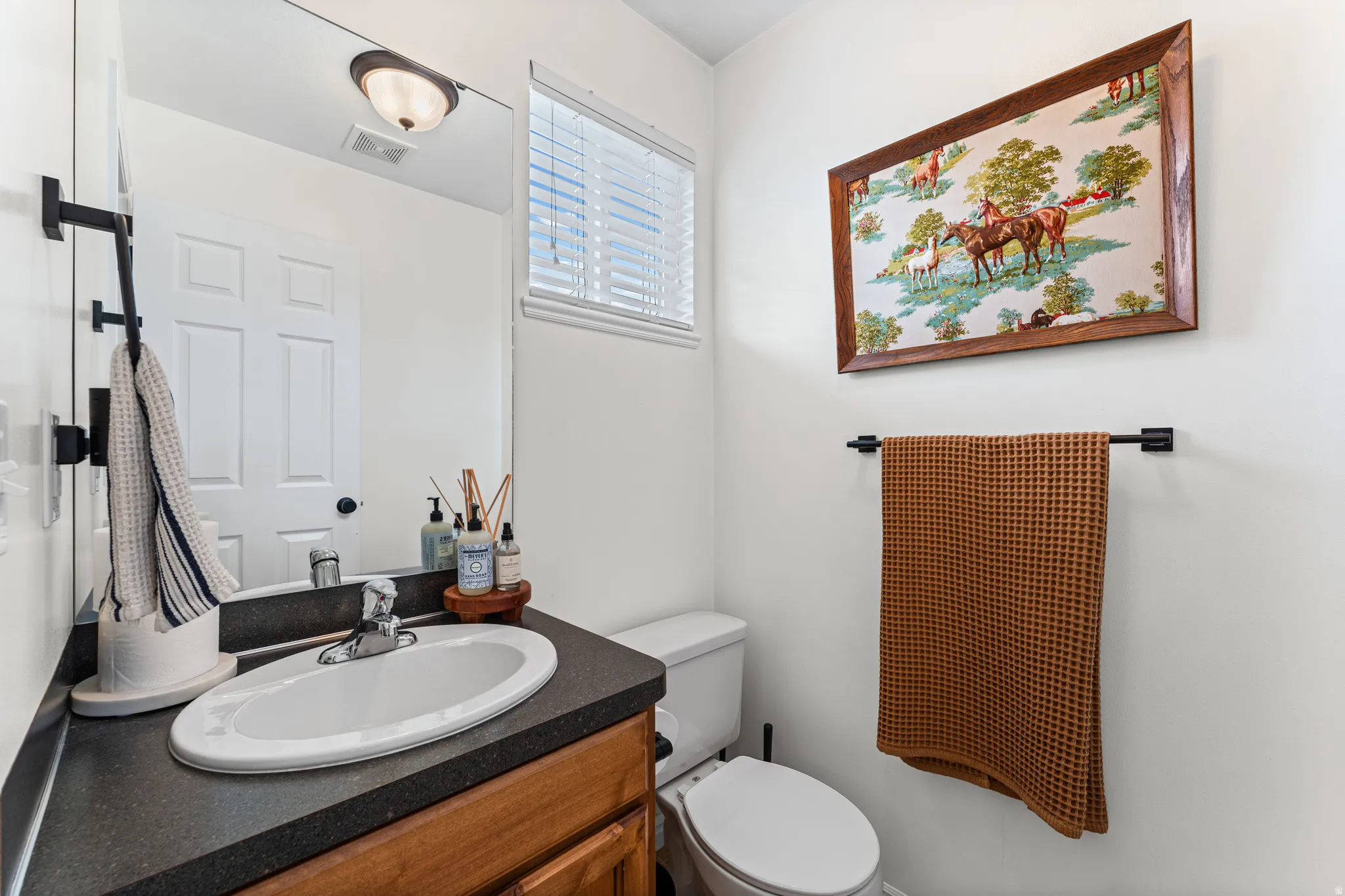 Bathroom featuring a wood-finish vanity with a dark countertop and a drop-in sink