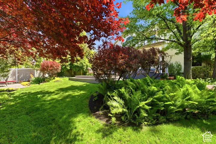 Expansive lawn featuring mature trees with vibrant foliage, established shrubbery, and a visible patio area