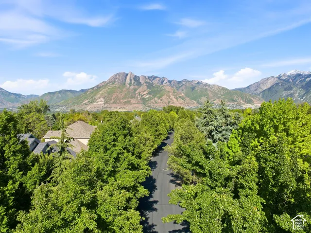 Scenic mountain backdrop with extensive tree cover